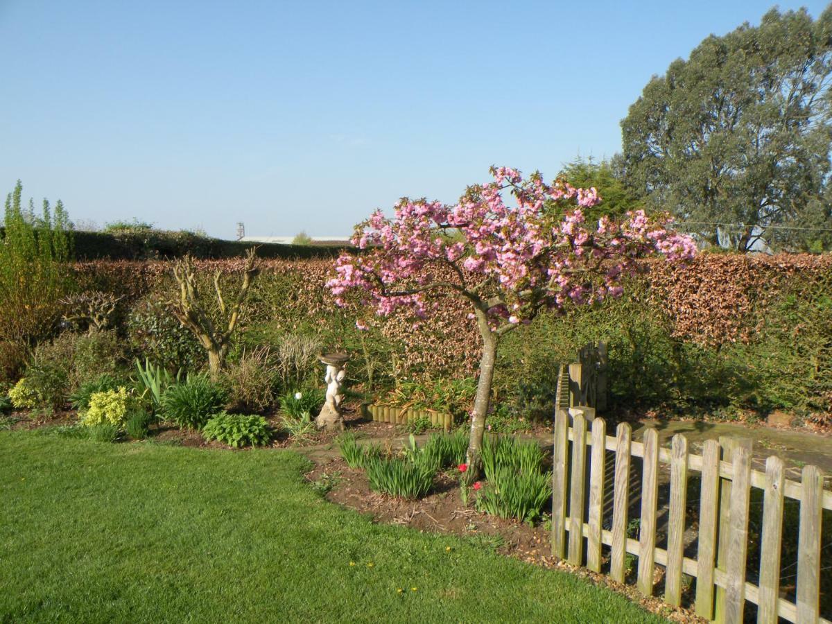 Apartment Woodfield Self-catering Cambridge (Cambridgeshire)